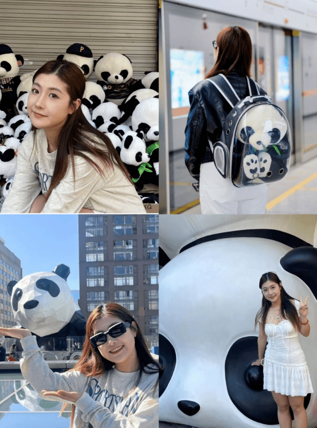 熊猫手机:图图小姐姐选择吉利熊猫mini的3个理由-第1张图片-太平洋在线下载