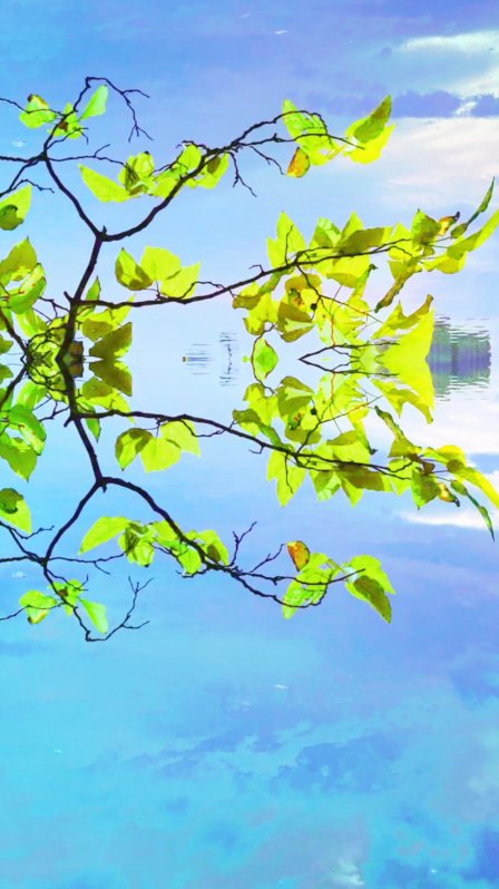 彩铃大全手机版(手机彩铃大全试听)-第4张图片-QuickQ官网