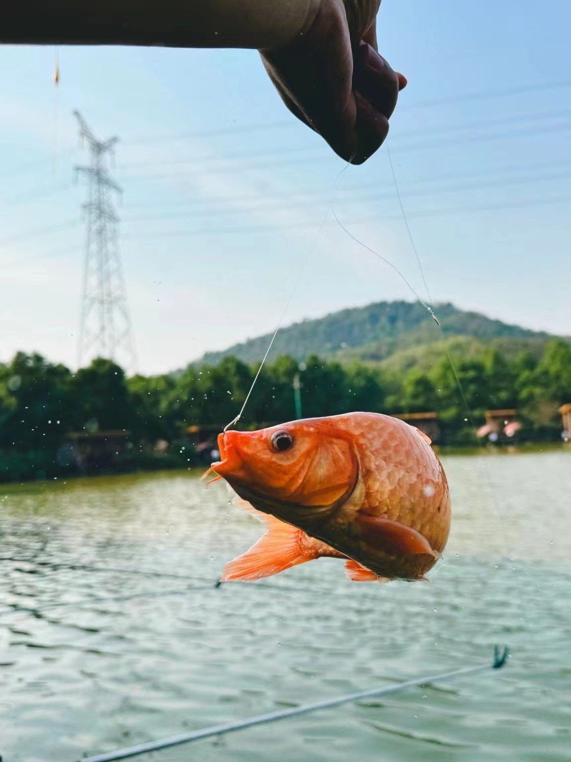 快乐垂钓手机版(快乐垂钓ftt2020)-第5张图片-QuickQ官网