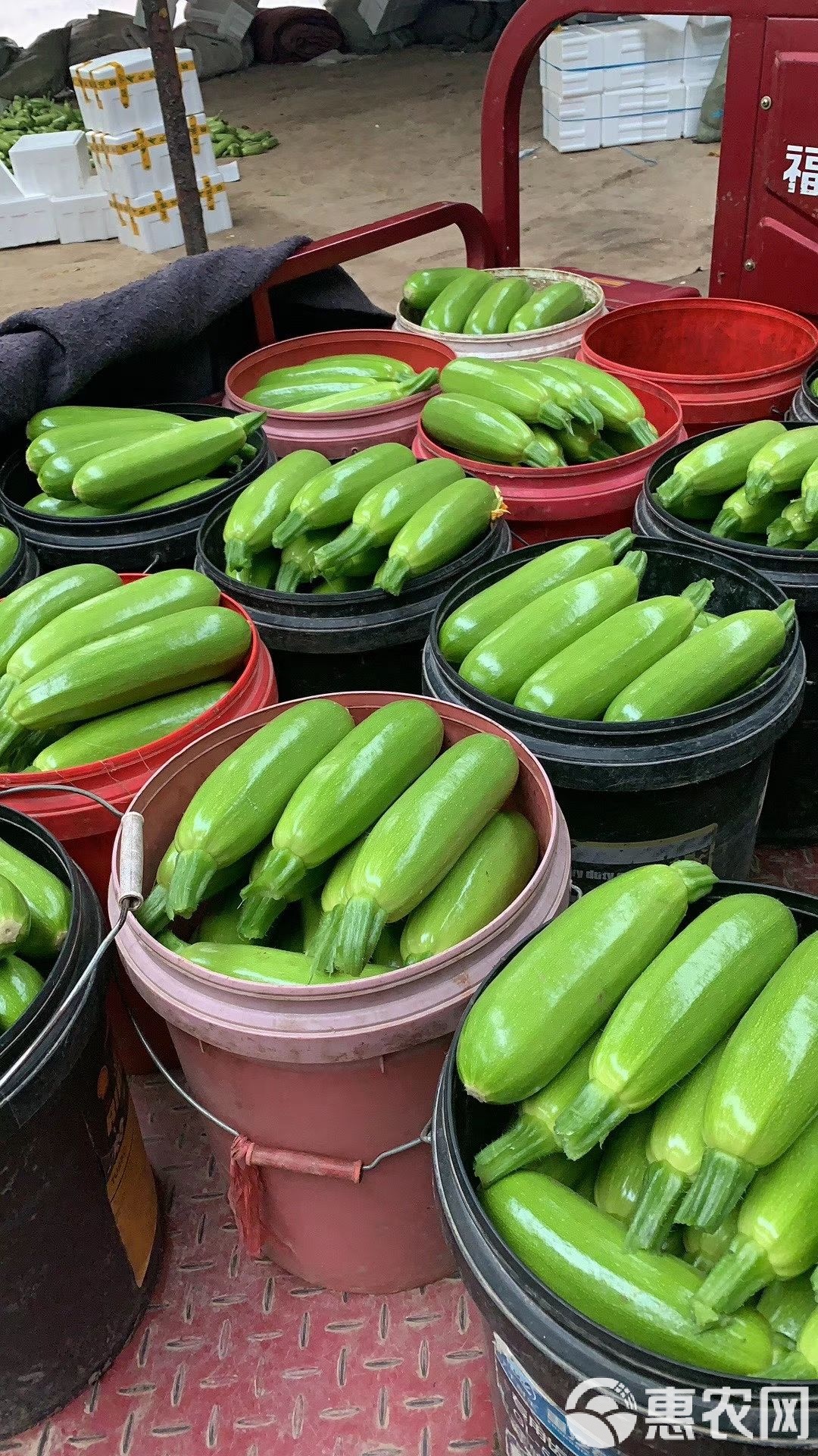 寿光果蔬手机版下载(寿光果蔬交易客户端手机版下载)