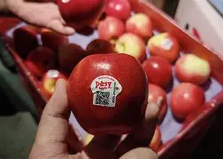 9188苹果版(918kiss ios)-第5张图片-QuickQ官网