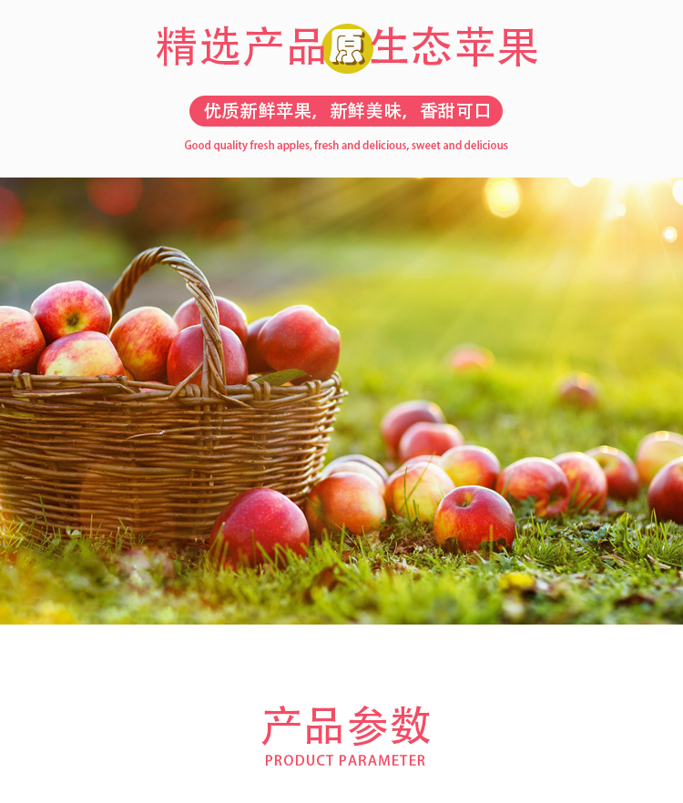 浓缩版苹果(浓缩苹果汁功效与作用)-第1张图片-QuickQ官网 浓缩版苹果(浓缩苹果汁功效与作用)-第1张图片-QuickQ官网