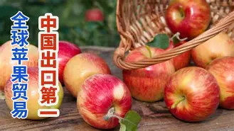 Xjtvbeta版苹果(appletvtestflight)