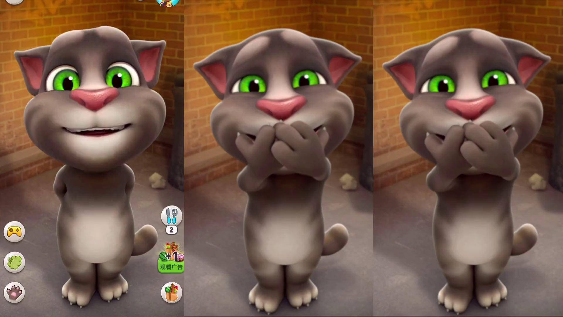 会唱歌的汤姆猫手机版(会说话的汤姆猫无限金币版下载地址)-第5张图片-SafeW