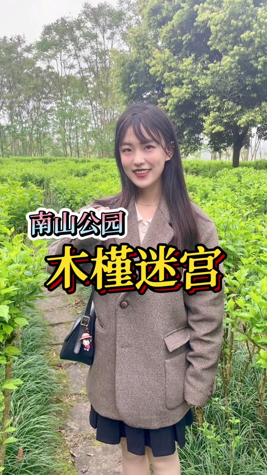 蔷薇迷宫论坛下载手机版(徒花异谭中文v101)-第5张图片-SafeW
