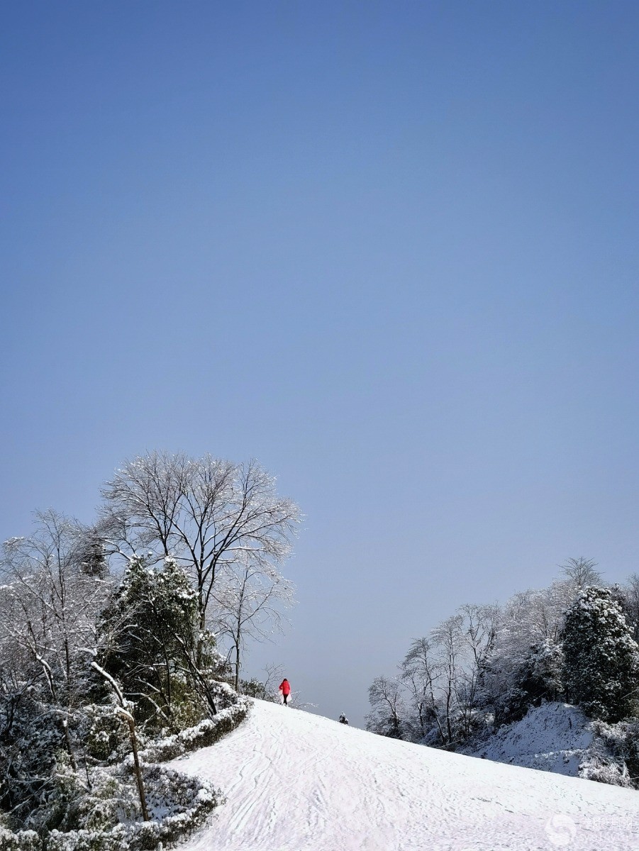 光影中国网手机版(光影中国网课是什么)-第4张图片-QuickQ官网