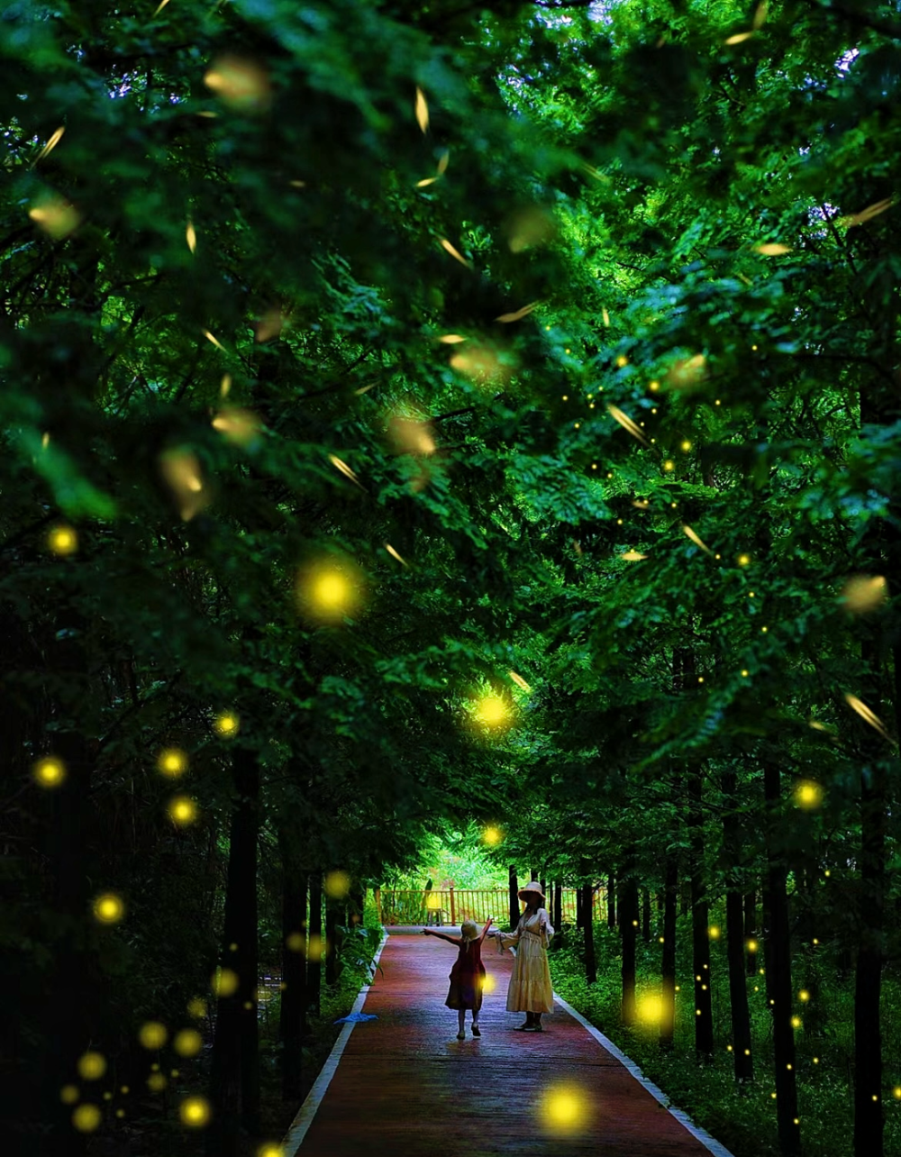 萤火虫壁纸手机版(萤火虫动态壁纸官网)